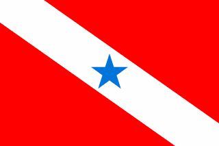 Bandeira do Pará
